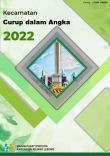 Curup Subdistrict in Figures 2022