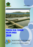 Kecamatan Padang Ulak Tanding Dalam Angka 2010