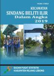 Sindang Beliti Ilir Subdistrict In Figures 2019