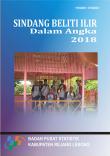 Sindang Beliti Ilir Subdistrict in Figures 2018