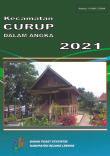 Curup Subdistrict in Figures 2021