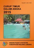 Curup Timur Dalam Angka 2015