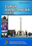 Curup Dalam Angka 2015